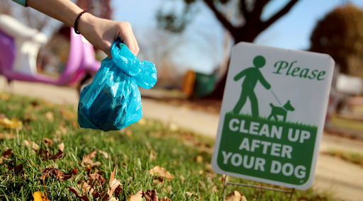 Dog Poop Removal Service